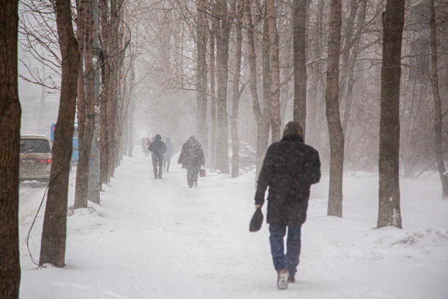 Второй день нового года в Приморье ожидается снежным