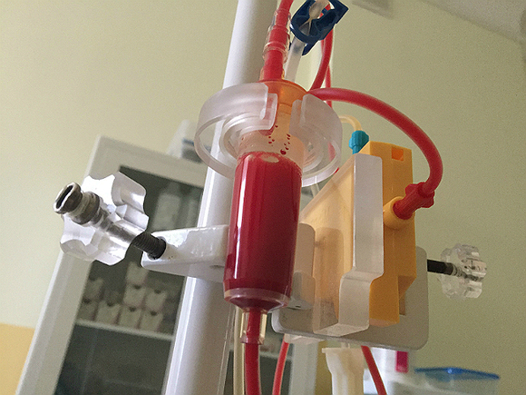 Украинское Минобороны опровергло сообщения о запасах донорской крови, которые поступают в российские войска