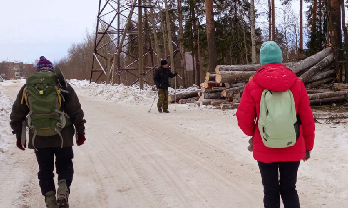 «Лес рубят, щепки летят»: еще в одном районе Петрозаводска вырубили лес
